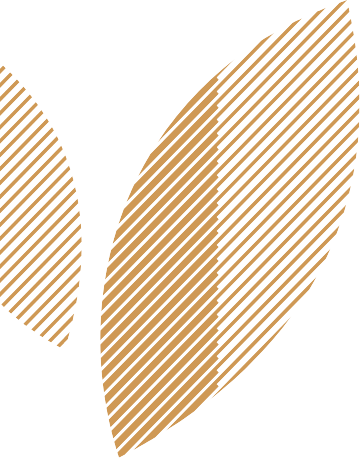 Cultiver une expertise unique