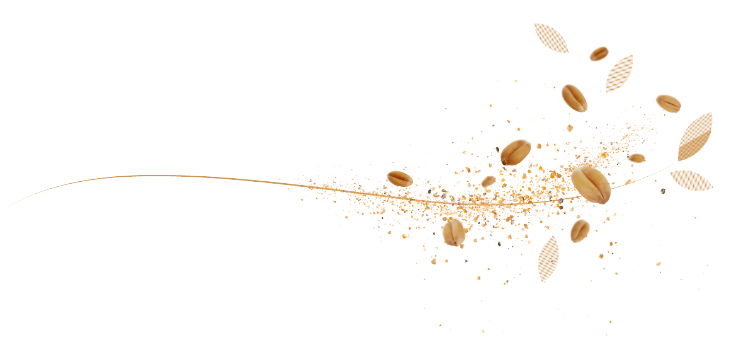 L'excellence de la boulangerie à la française