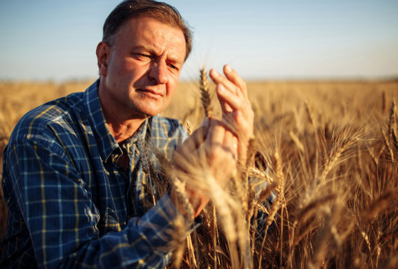 RSE - Cahier des charges - Label Rouge