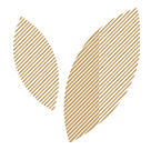 Activités & marques