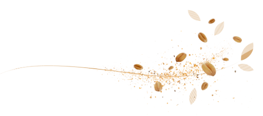 Episens - Nos ambassadeurs