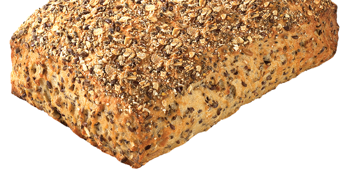 Episens - Pave fibre