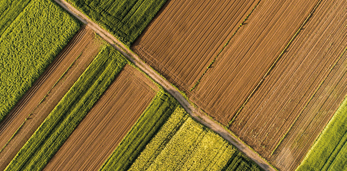 différentes cultivées en moyenne sur leur exploitation.</span>.
