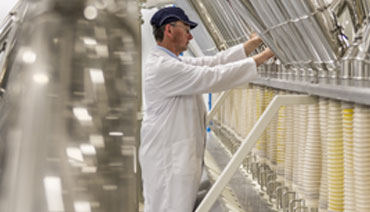 Food service / Restaurat